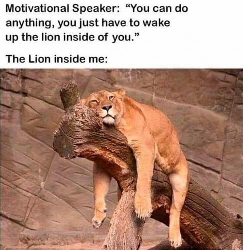 tumblr_6c80d045e248fe3922c60ee78b7ca99e_3eee0078_1280