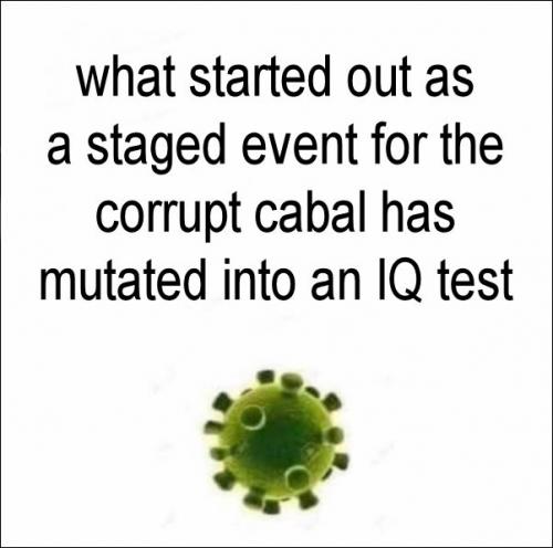 coronavirus1265