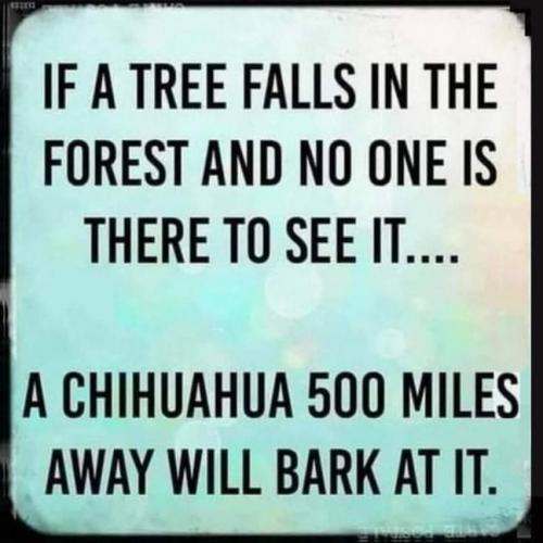 06:11:19 GMT-0400 (EDT)