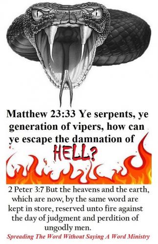 11072763_794019410697192_1414088635933051493_o