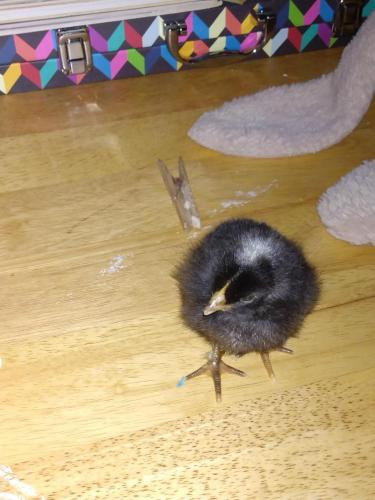 IMG_20210723_123146737