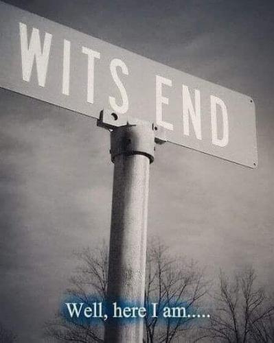 208574552_4199340503481822_577336244888007615_n