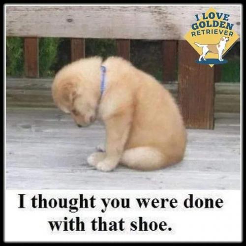 FB_IMG_1625109964927