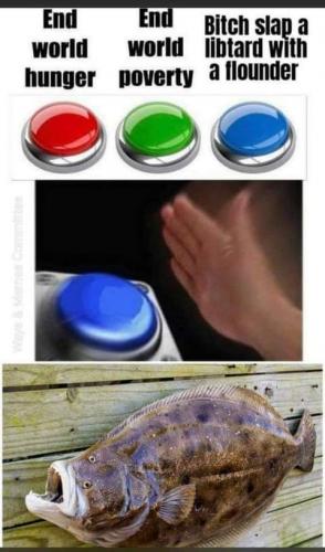 FB_IMG_1627099193683