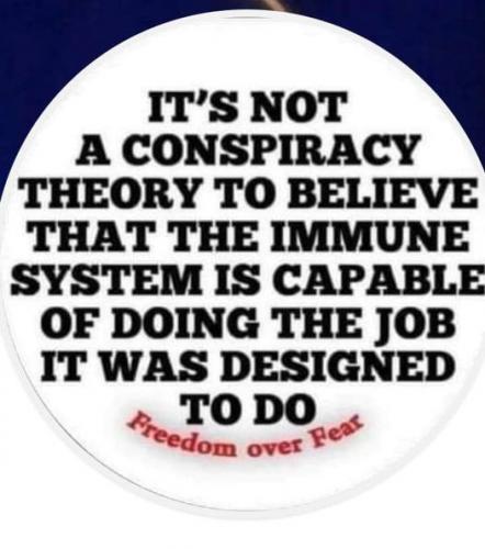 Let_The_Immune_System_Work