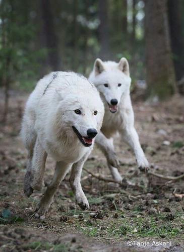 872693ba40dbea66cb50e0236a7f1e3f