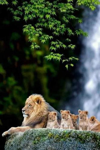 Courage and Contentment