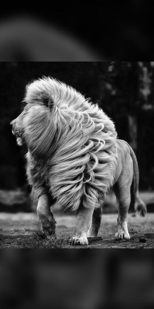 A0AC52EF-3186-40D4-8EB5-374FFB0CA236