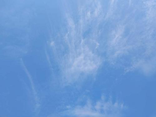 received_340627561002496