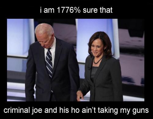 gun control196