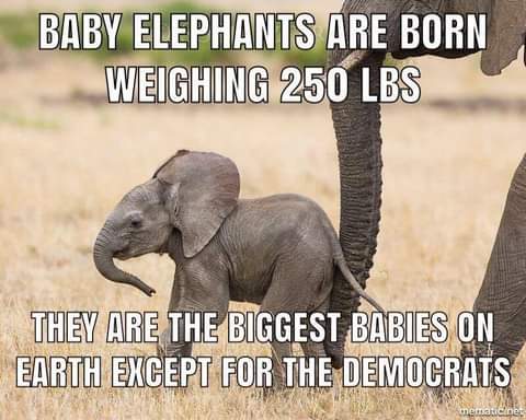 FB_IMG_1627351086358