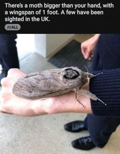 Screenshot_20210726-224424_Reddit