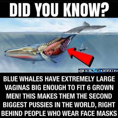 did you know