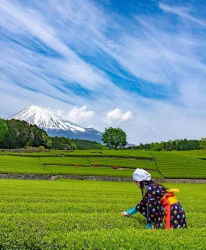 212214490_2896534267229697_682649331683851817_n