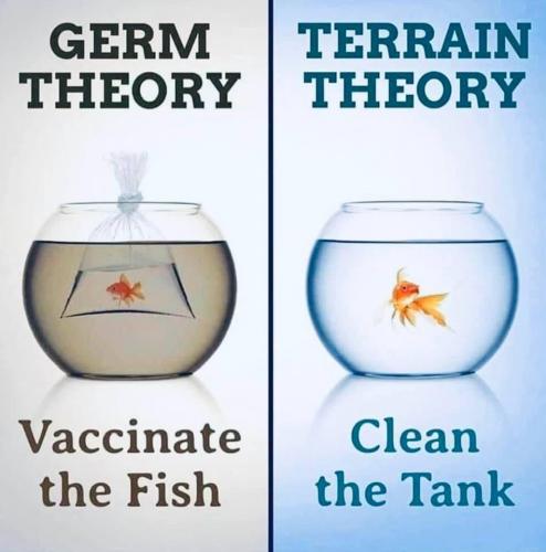 11:43:38 GMT+1000 (AEST).image