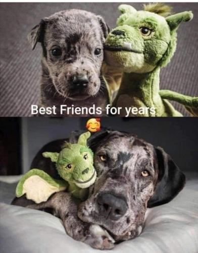 224472476_3116011418626866_2775025015048966404_n