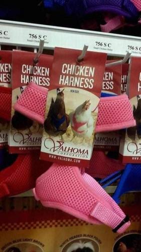 FB_IMG_1627166002239