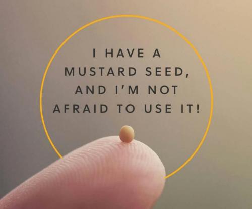 mustard-seed