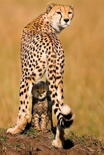 FB_IMG_1626062389982