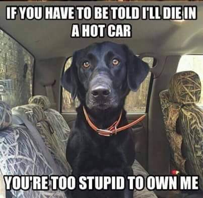 FB_IMG_1620720961732