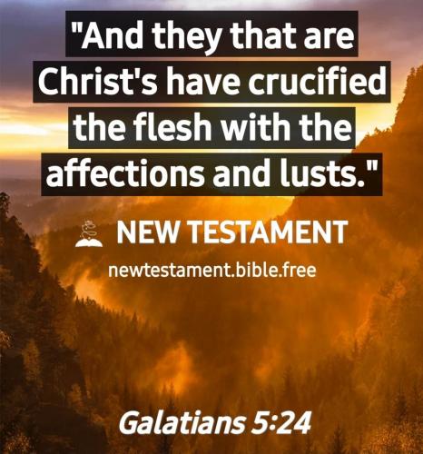 Screenshot_20210705-112735_New Testament Bible free