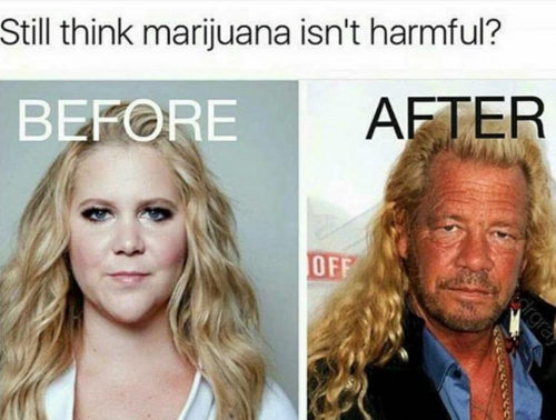 16830878_1450191578377449_9011605147298519715_n