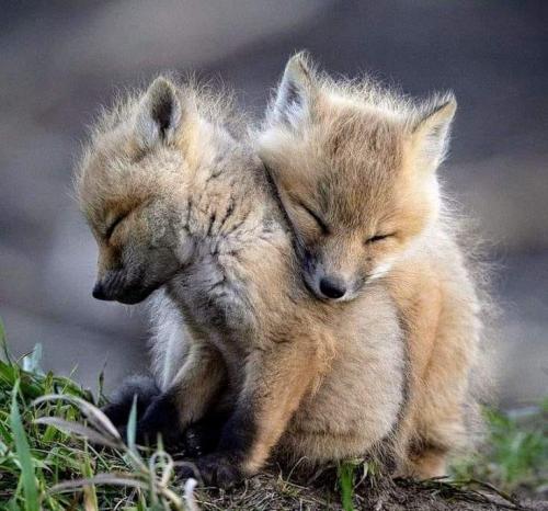 216524194_10227474074383299_5285662967787660109_n