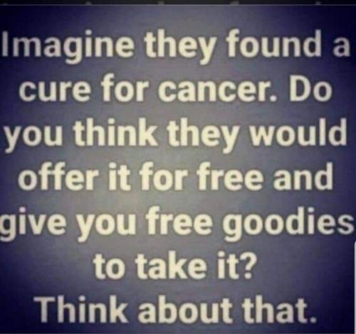 207086646_327085229065393_2228882175904628128_n