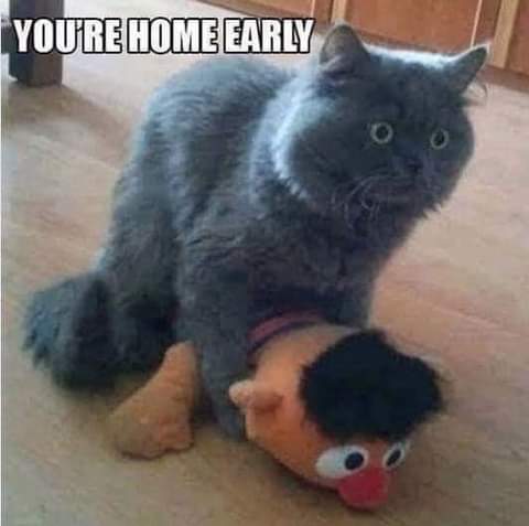 FB_IMG_1627072466300