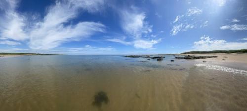 0DEA4BC6-41A3-445B-BB71-A780C6E3D96D