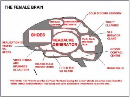 FEMALE BRAIN