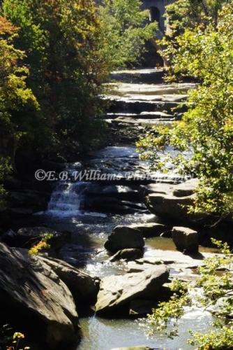 78905512_1828278313982394_6483439633676894208_n_1828278310649061