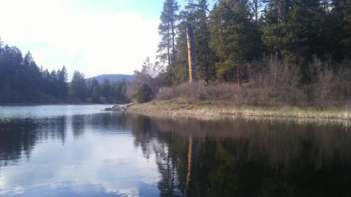 20200505_180642_Burst01