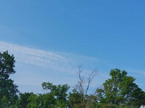 received_1193641797772211