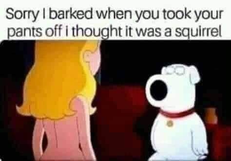 FB_IMG_1627094715724