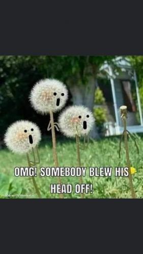 FB_IMG_1626155452198