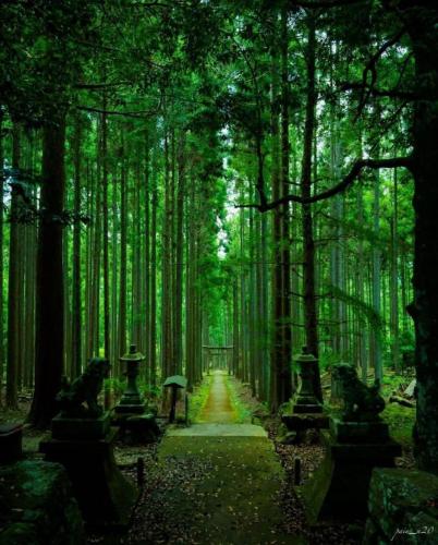 217511728_358607122301963_458831534042643462_n