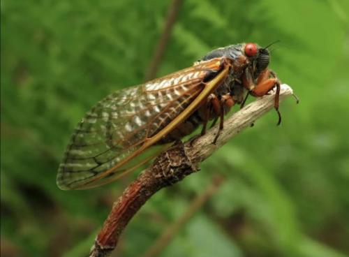 20:00:48 GMT-0500 (CDT).image