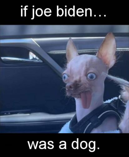 biden626