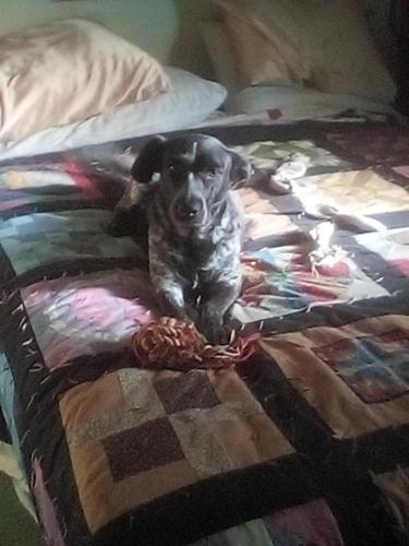 17:10:38 GMT-0400 (EDT)