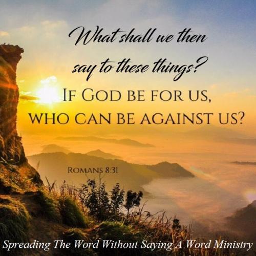 213040811_2994630377492193_5959834078117175181_n