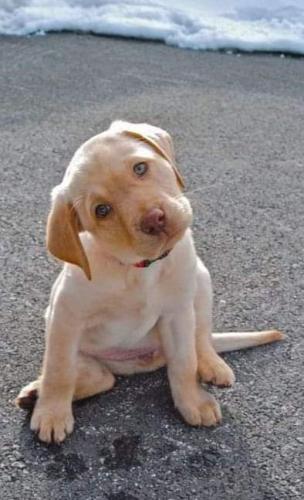 FB_IMG_1627179943179