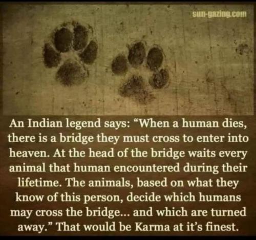 210142190_1193597604448135_3699353081415688896_n