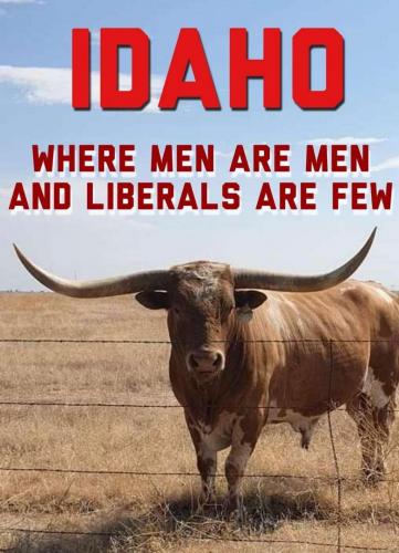 00:09:49 GMT-0700 (PDT).image