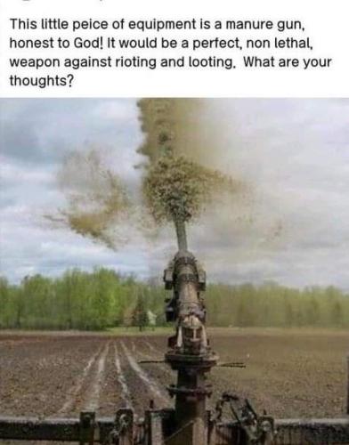 FB_IMG_1625011225344