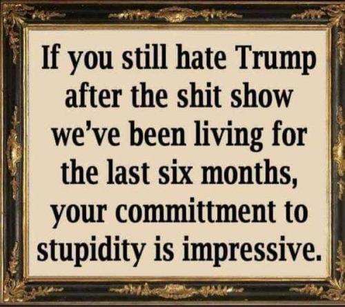 218042579_1032620087275174_60835423140961766_n