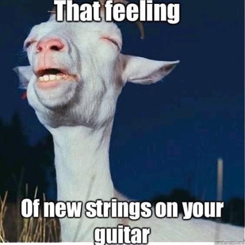 210902130_10158667973207875_6048811260175697090_n