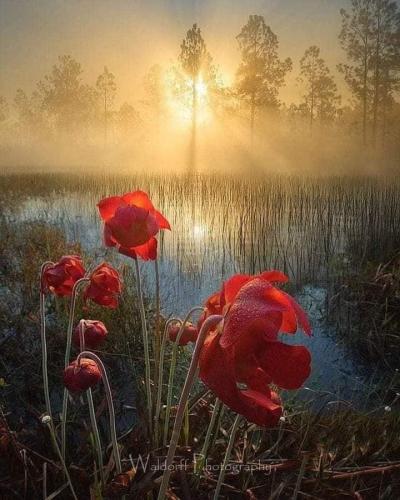 212089781_339863640967508_8081568051535406095_n