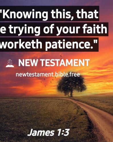 Screenshot_20210702-112856_New Testament Bible free