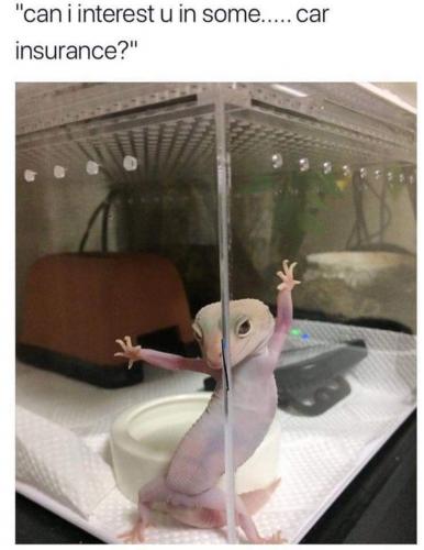 17:08:10 GMT-0500 (CDT)